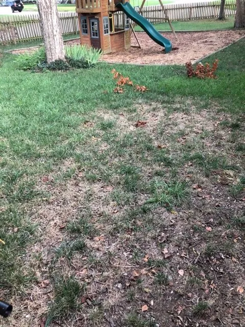 Trusted outdoor landscaping with custom design in Franklin, TN by The Turf Doctor