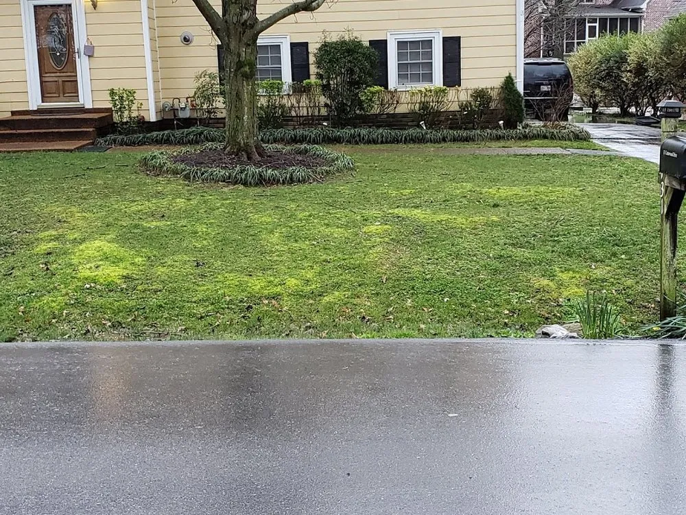 Expert landscape design in Franklin, TN by The Turf Doctor