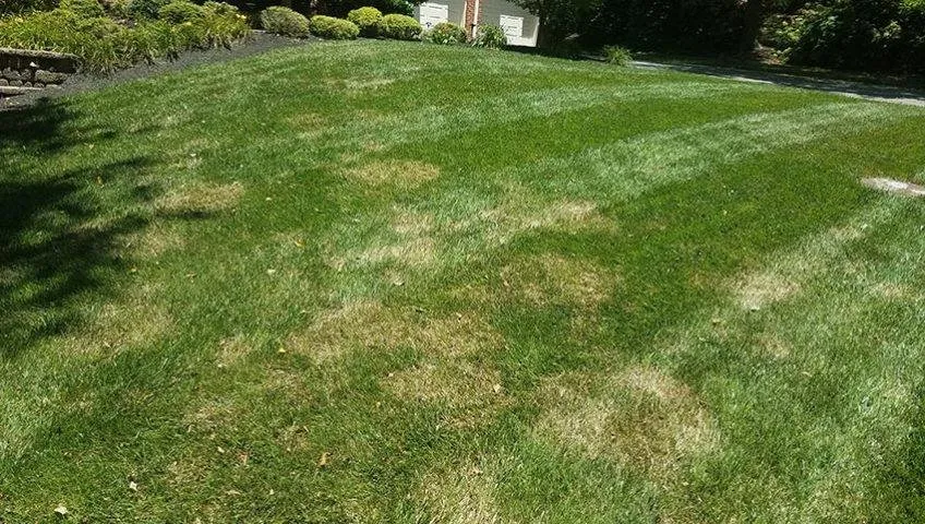 Expert landscape installation in Franklin, TN - The Turf Doctor