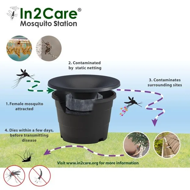 Top-rated lawn mowing service experts serving Franklin, TN - The Turf Doctor