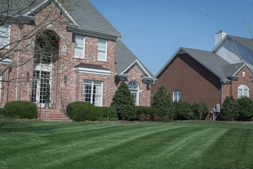 Custom yard cleanup service in Franklin, TN - The Turf Doctor