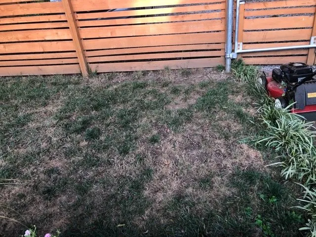 Local landscaping services for year-round maintenance across Franklin, TN - The Turf Doctor