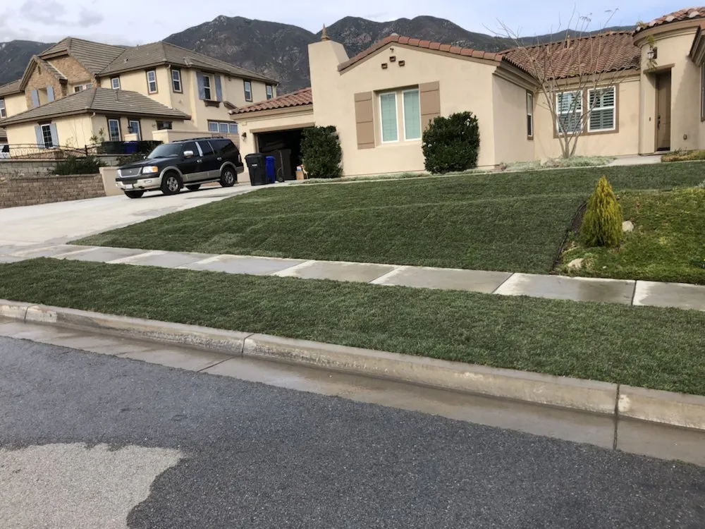 Expert yard cleanup service in Rialto, CA - The Turf Dr
