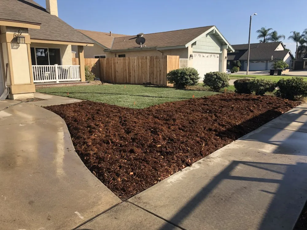 Local landscape design in Rialto, CA by The Turf Dr