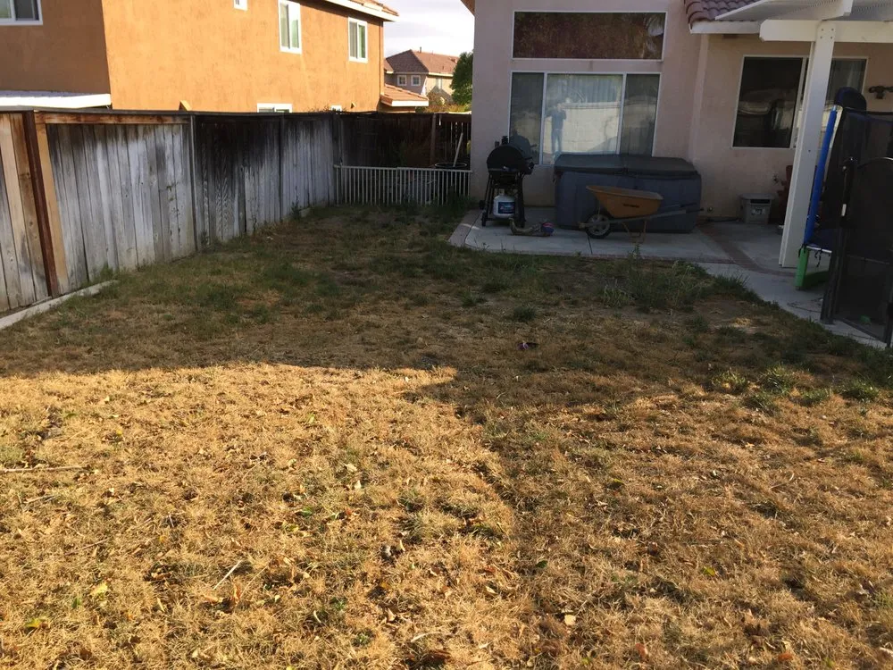 Reliable garden landscaping in Rialto, CA - The Turf Dr