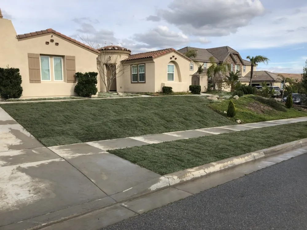Trusted yard cleanup service experts serving Rialto, CA - The Turf Dr