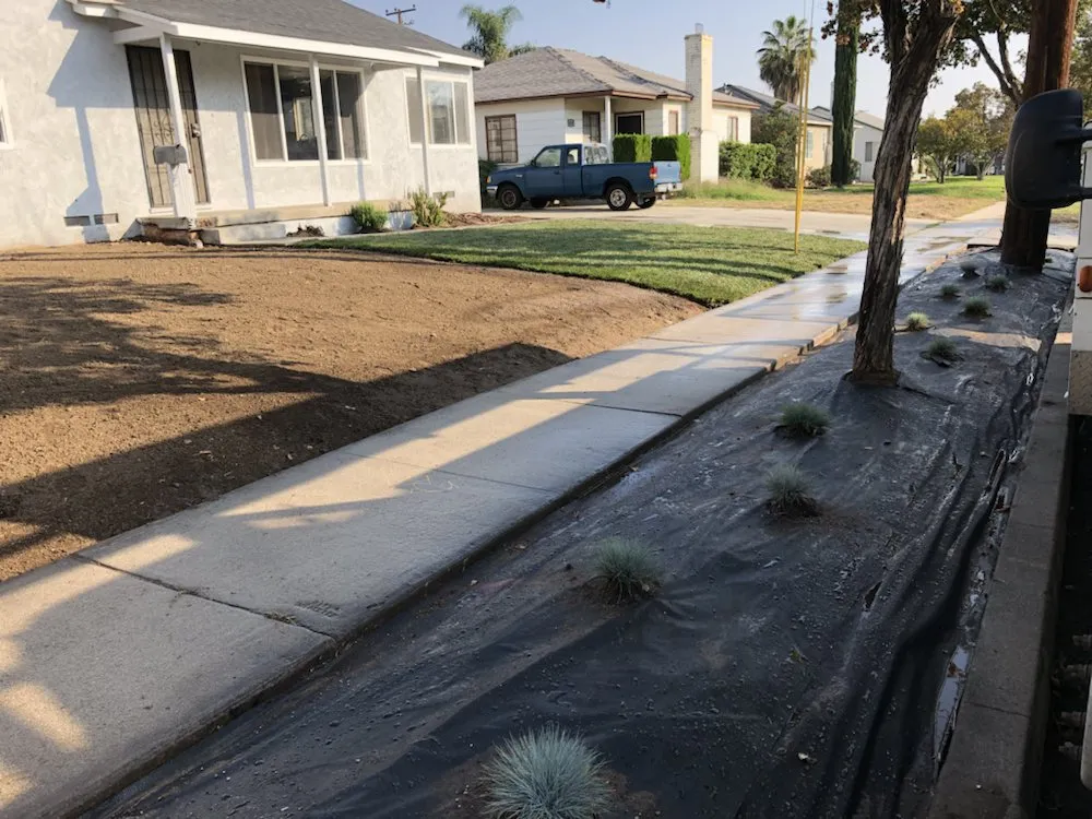 Professional landscaping services in Rialto, CA by The Turf Dr