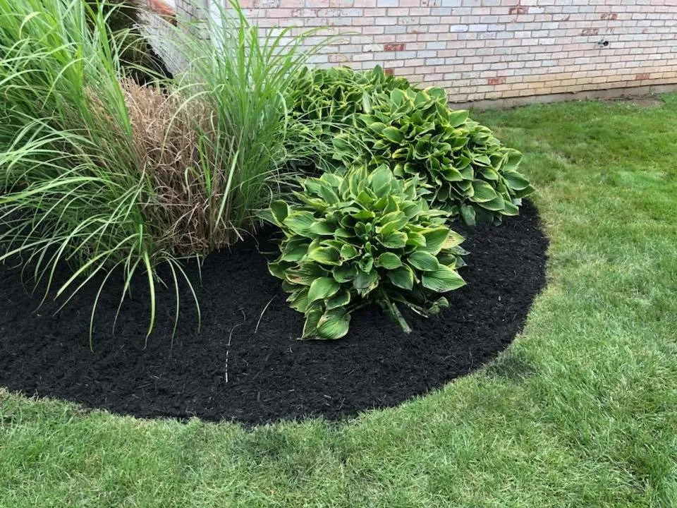 Reliable residential landscaping experts serving Fortville, IN - The Turf Guys