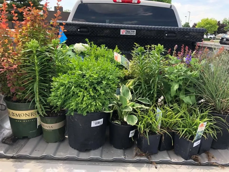 Custom yard maintenance experts serving Fortville, IN - The Turf Guys