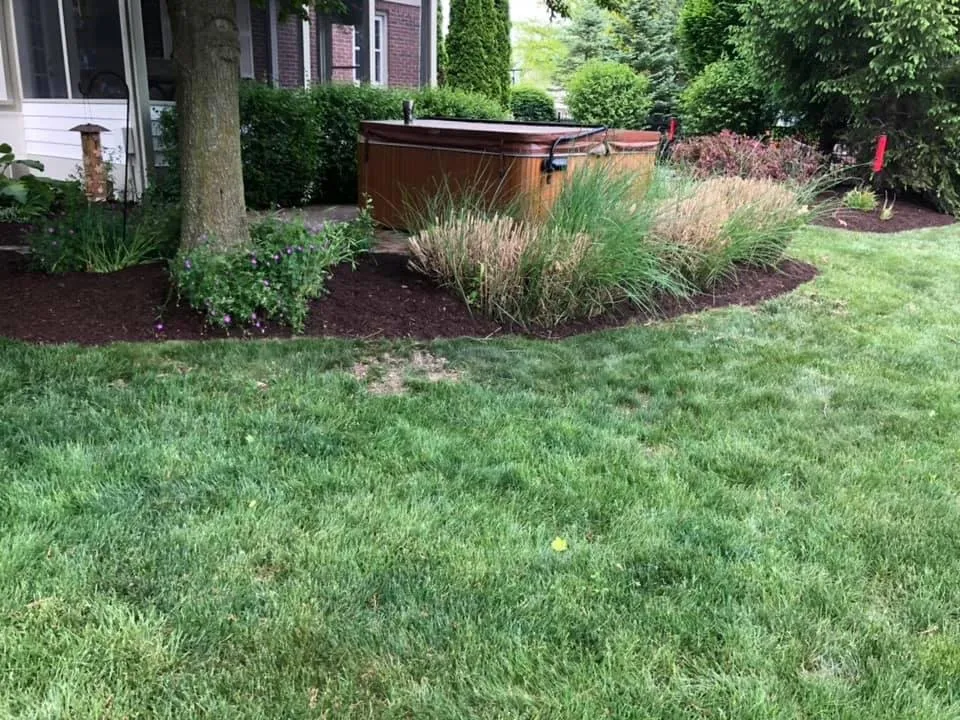 Affordable lawn mowing service in Fortville, IN by The Turf Guys