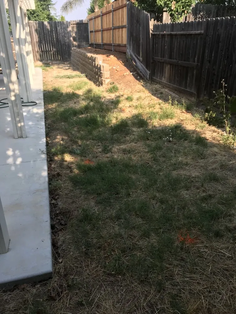Affordable yard cleanup service in Rancho Cordova, CA - The Turf Man