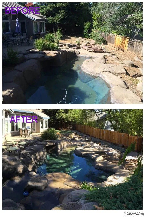 Affordable yard cleanup service for year-round maintenance in Rancho Cordova, CA by The Turf Man