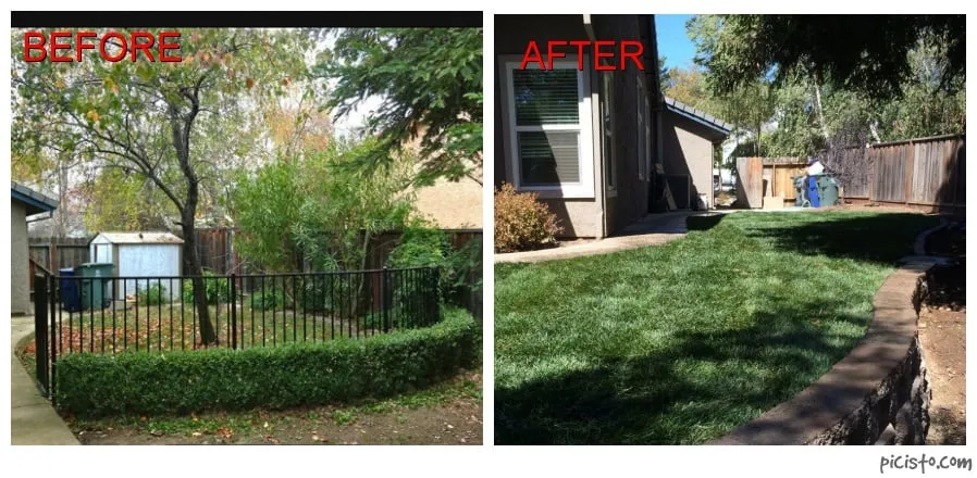 Local lawn care service with custom design across Rancho Cordova, CA - The Turf Man