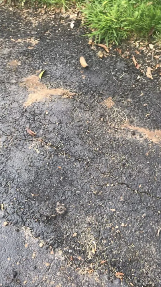 Professional residential landscaping experts serving Wallingford, CT - The Turf Scout