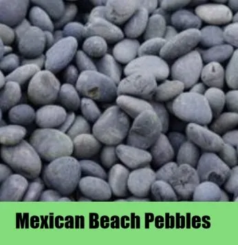 Trusted landscaping services with custom design across Chesapeake, VA - The Turf Surgeon