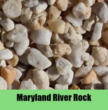 Affordable garden landscaping for residential properties across Chesapeake, VA - The Turf Surgeon