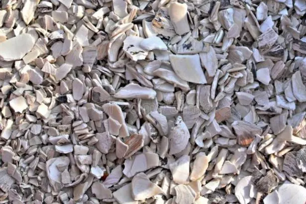 Expert yard maintenance in Chesapeake, VA - The Turf Surgeon