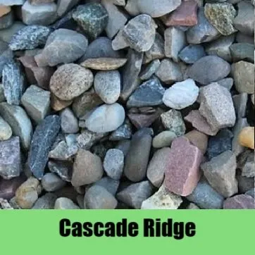 Reliable yard cleanup service experts serving Chesapeake, VA - The Turf Surgeon