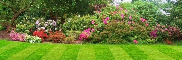 Reliable landscape design in Fort Walton Beach, FL by The Turf Tailors