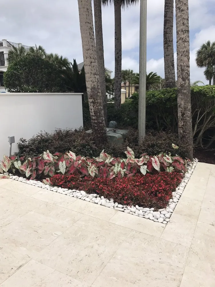 Trusted garden landscaping for homes across Fort Walton Beach, FL - The Turf Tailors