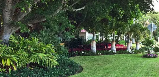 Local residential landscaping in Fort Walton Beach, FL by The Turf Tailors