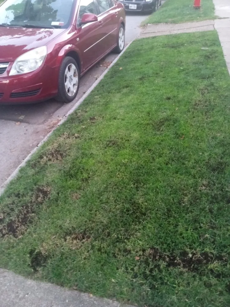 Reliable garden landscaping in Buffalo, NY - The Turf Whisperer