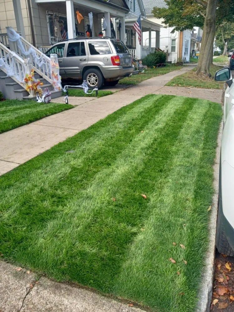 Affordable landscape installation in Buffalo, NY - The Turf Whisperer