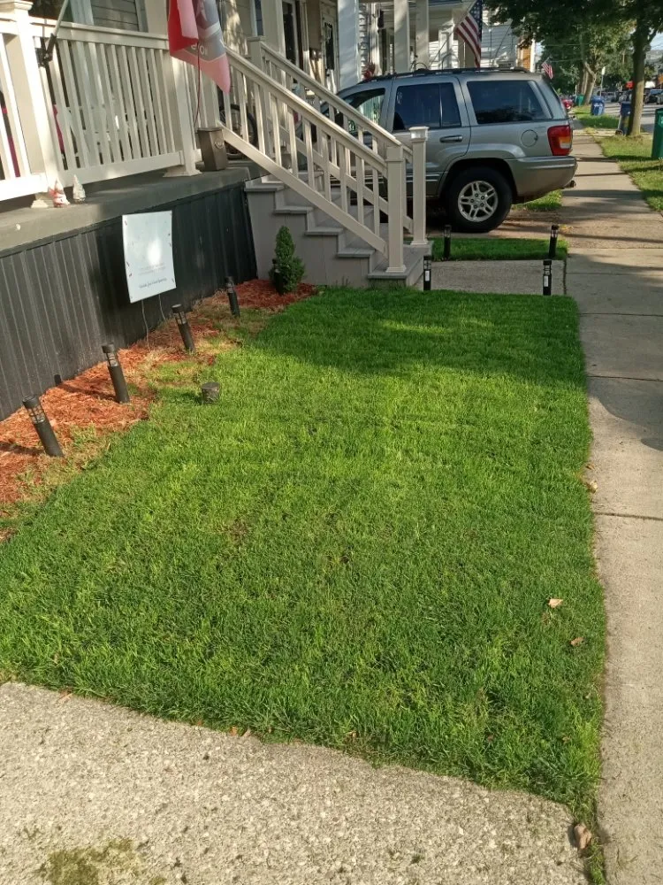 Expert yard maintenance in Buffalo, NY by The Turf Whisperer
