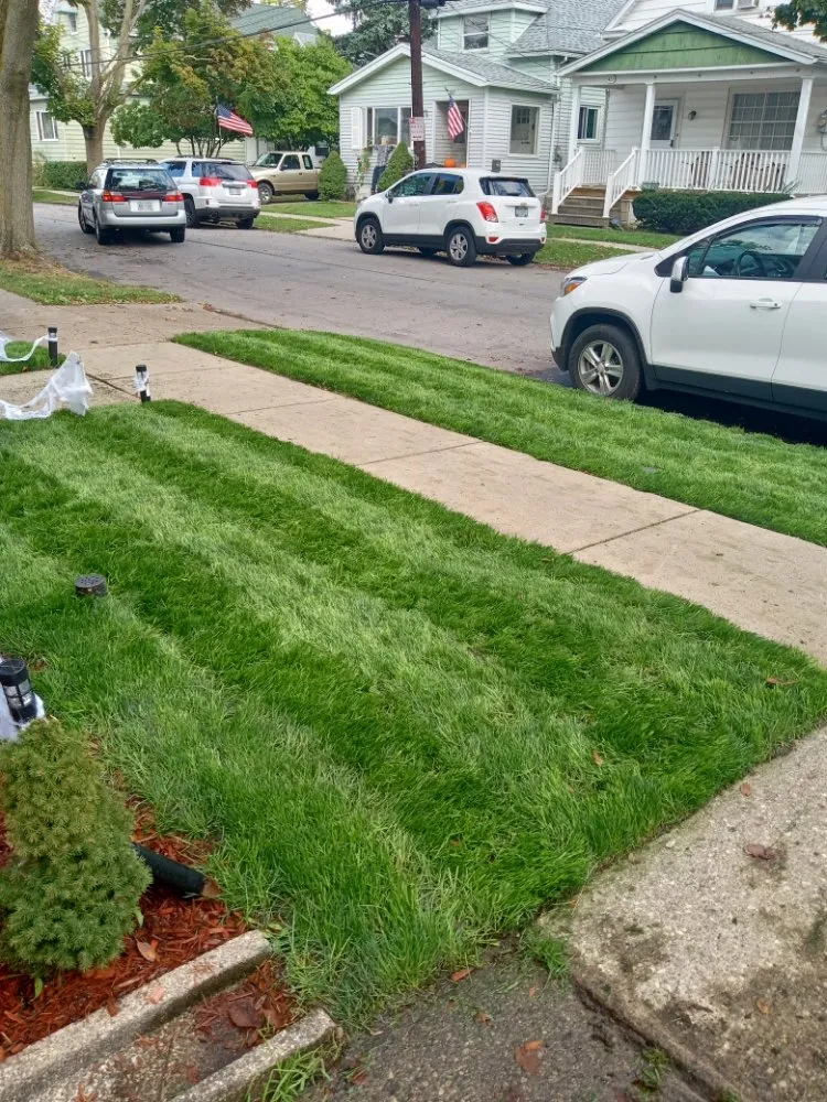 Local outdoor landscaping experts serving Buffalo, NY - The Turf Whisperer