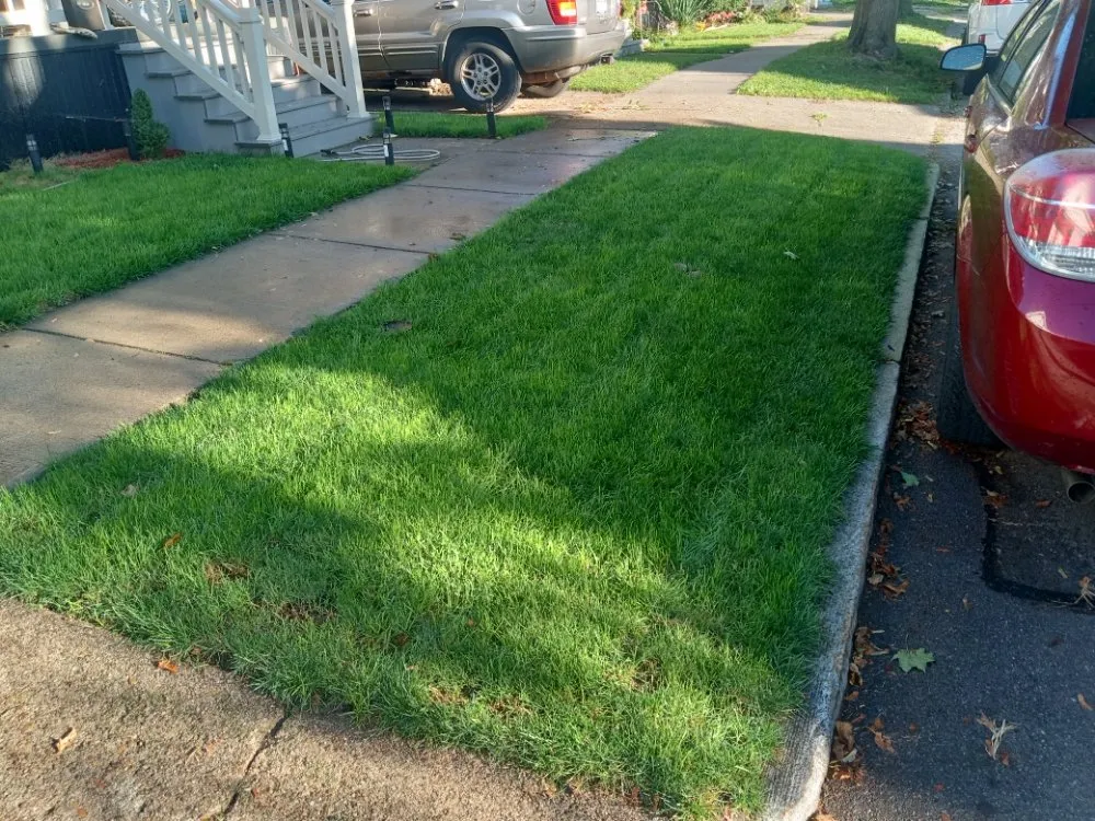 Expert outdoor landscaping with custom design across Buffalo, NY - The Turf Whisperer