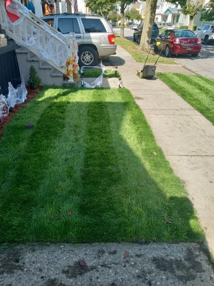 Expert garden landscaping near you in Buffalo, NY by The Turf Whisperer