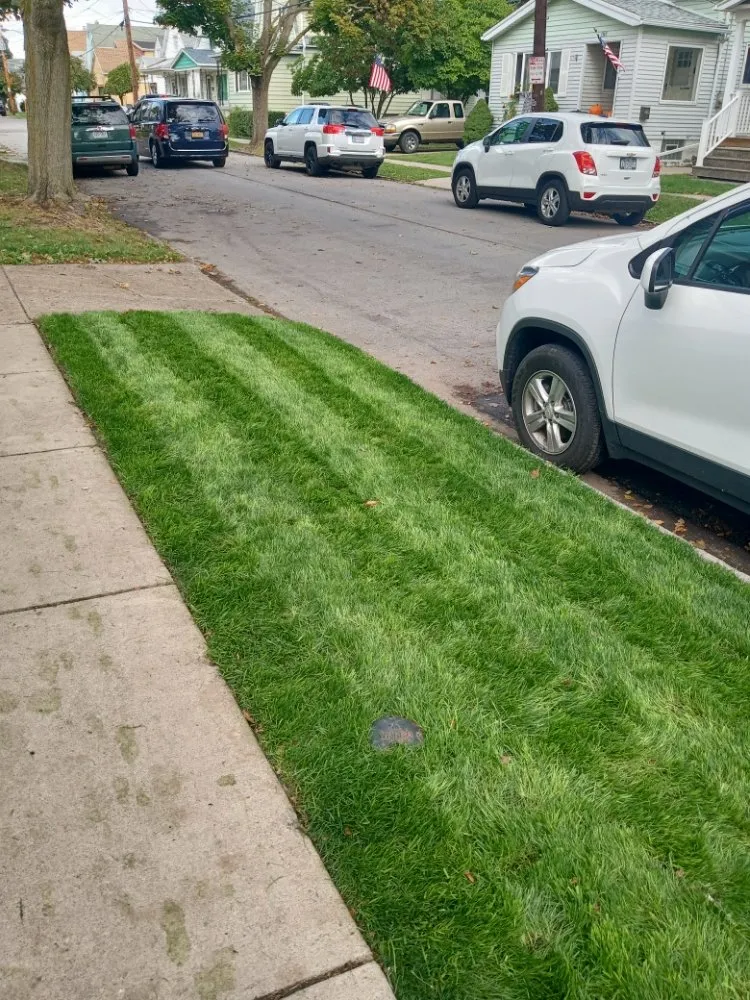 Affordable landscape installation in Buffalo, NY by The Turf Whisperer