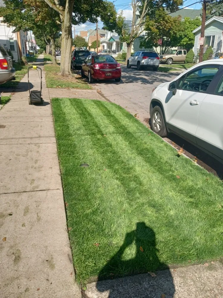 Trusted garden landscaping in Buffalo, NY - The Turf Whisperer