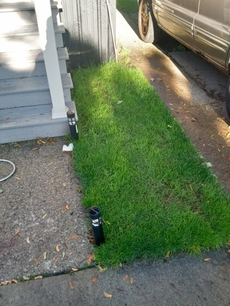 Top-rated landscape design experts serving Buffalo, NY - The Turf Whisperer