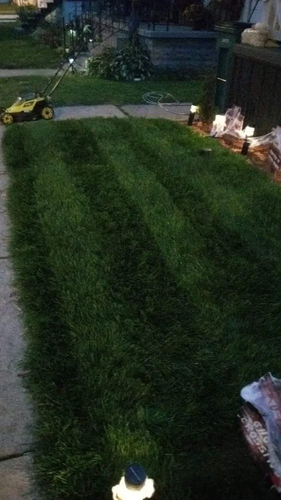 Reliable lawn mowing service for beautiful yards in Buffalo, NY by The Turf Whisperer