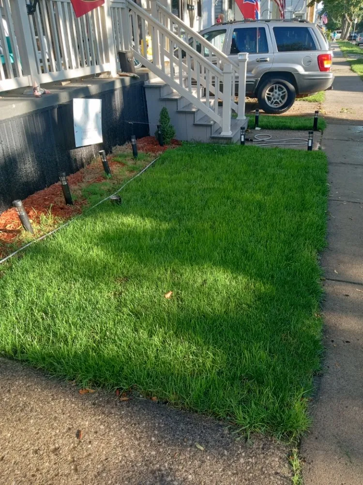 Affordable yard cleanup service in Buffalo, NY by The Turf Whisperer