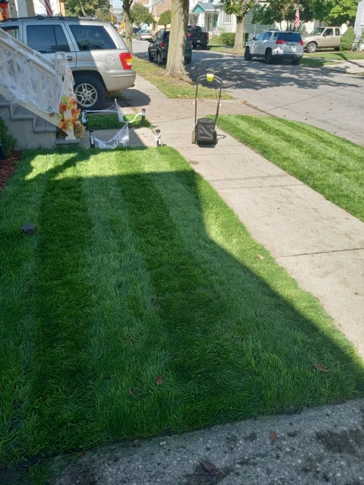 Top-rated landscape design in Buffalo, NY - The Turf Whisperer