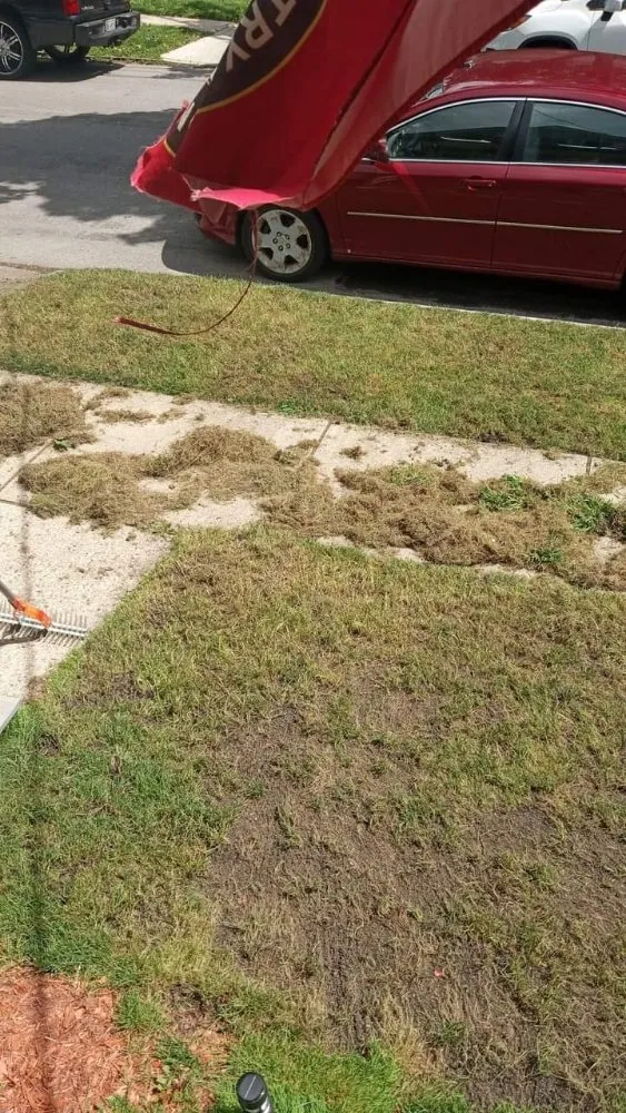 Custom yard maintenance experts serving Buffalo, NY - The Turf Whisperer