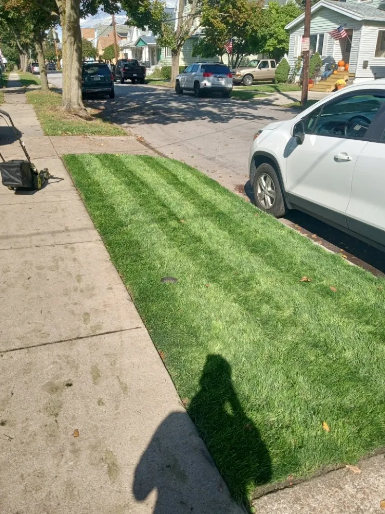 Trusted garden landscaping experts serving Buffalo, NY - The Turf Whisperer
