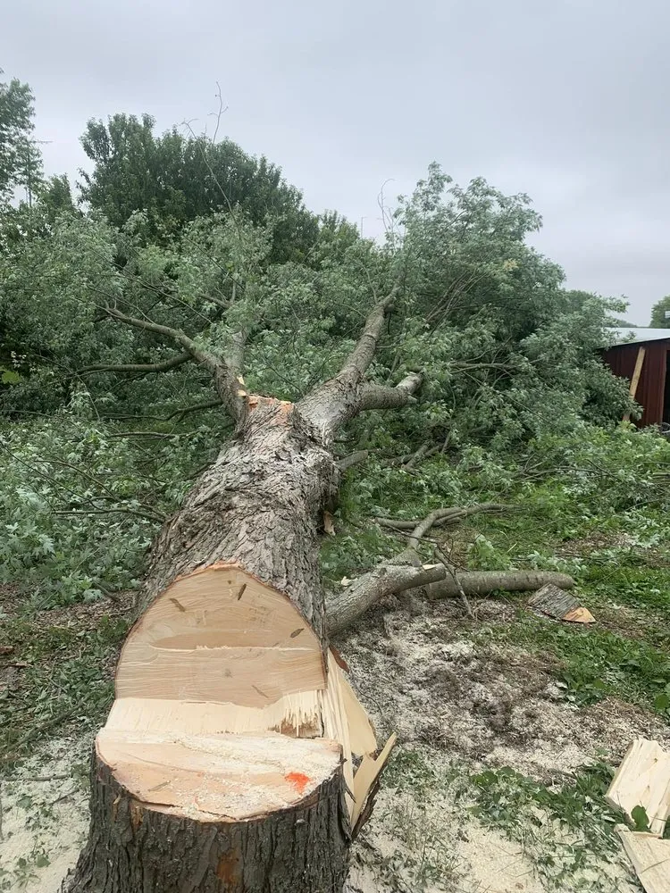 Professional garden landscaping in Kokomo, IN by The Turfguy