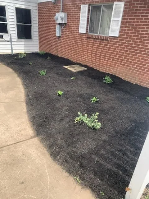 Expert landscaping services in Kokomo, IN - The Turfguy