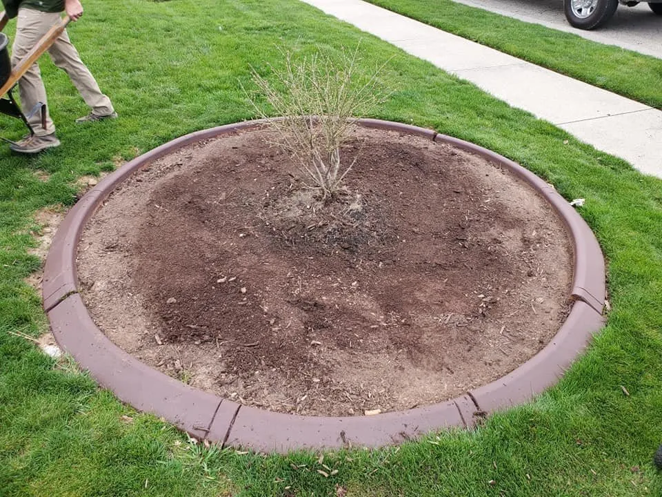 Affordable lawn mowing service for beautiful yards in Kokomo, IN by The Turfguy