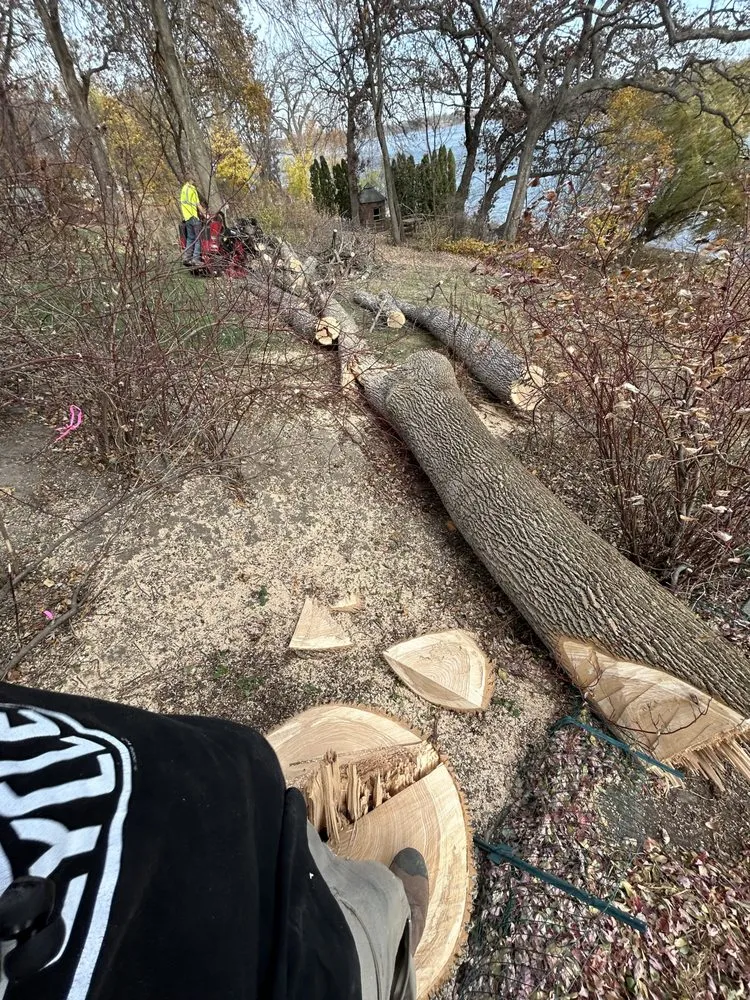 Local yard maintenance in Coon Rapids, MN by The Two Hats Tree Service