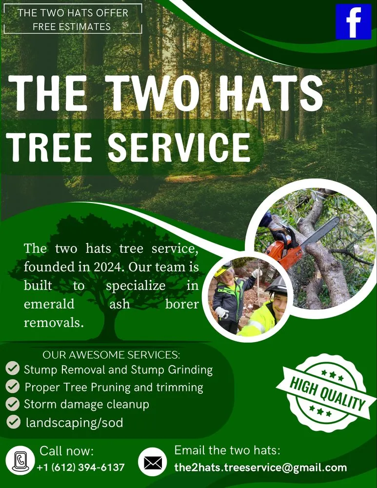 Expert yard cleanup service in Coon Rapids, MN - The Two Hats Tree Service