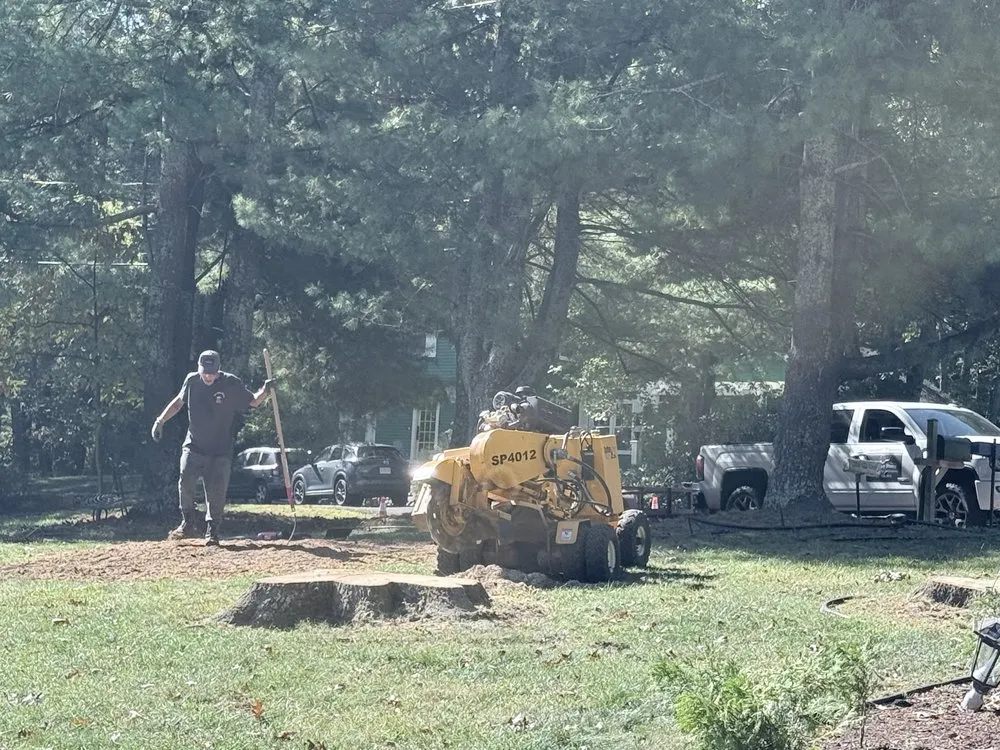 Trusted landscape design near you in Ware, MA by The Ugly Stump