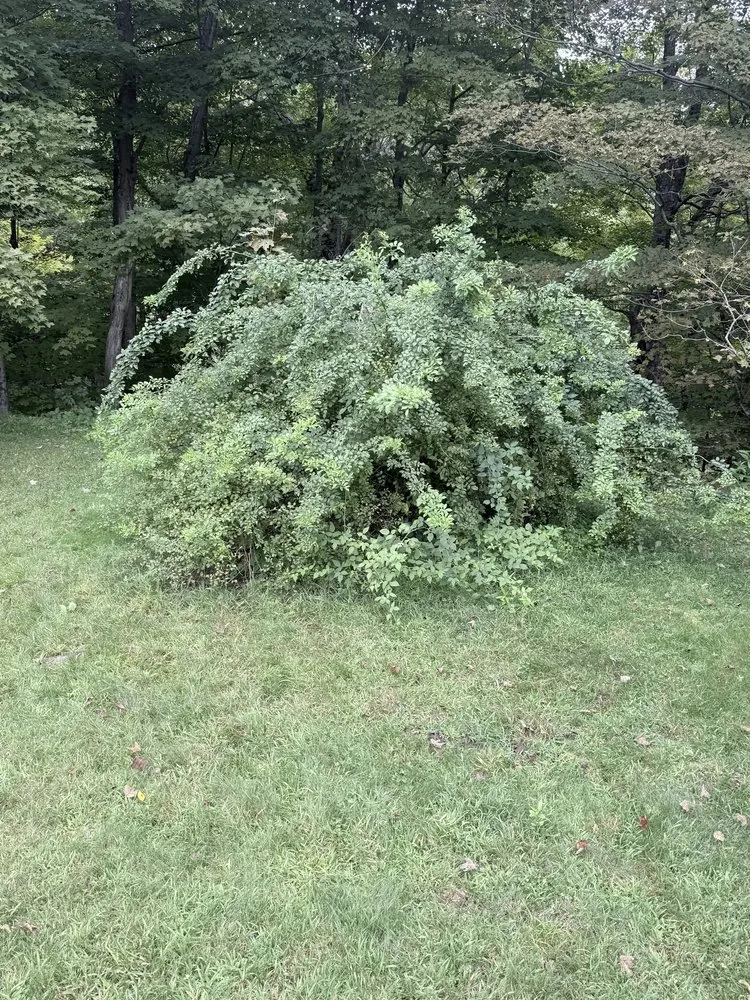 Reliable garden landscaping for homes in Ware, MA by The Ugly Stump