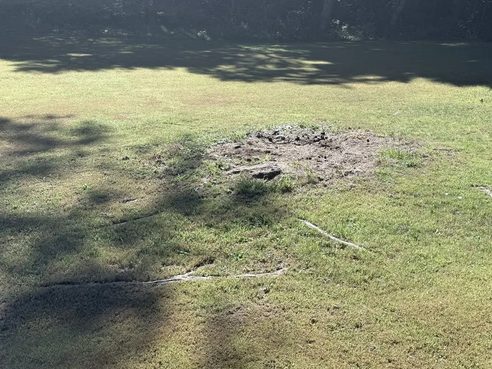 Local landscaping services experts serving Ware, MA - The Ugly Stump