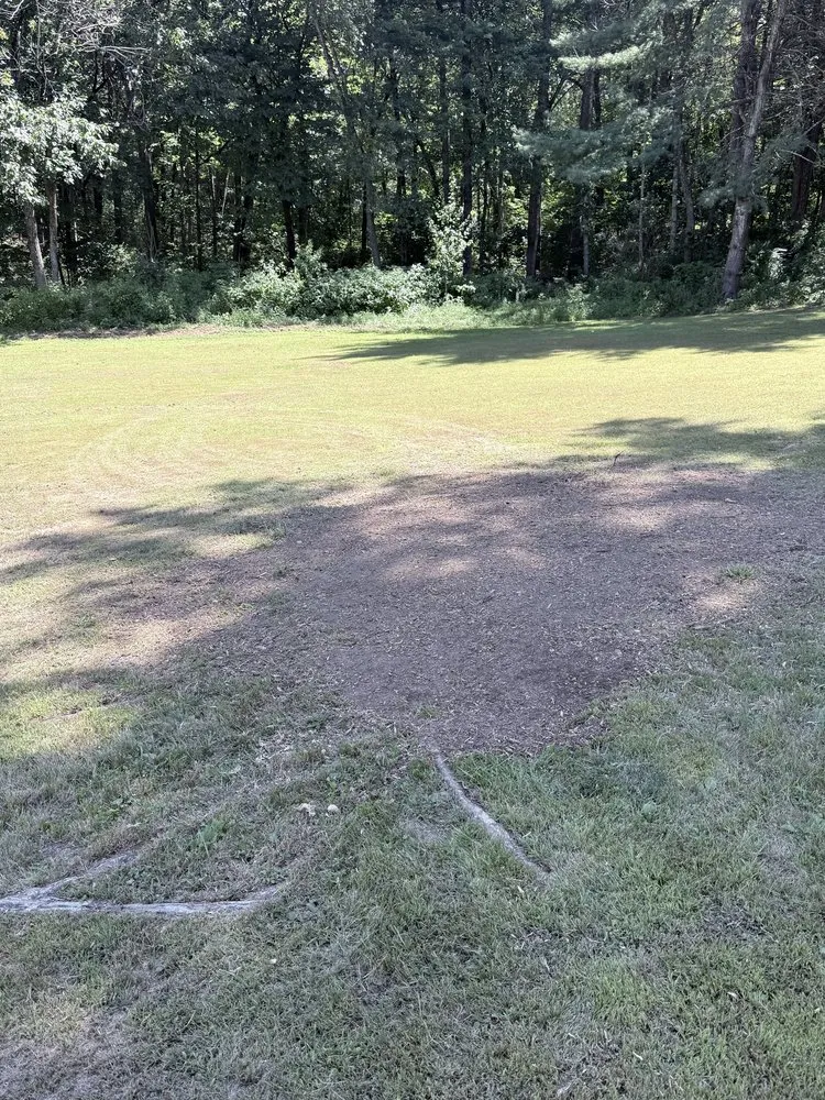 Expert landscape installation in Ware, MA by The Ugly Stump