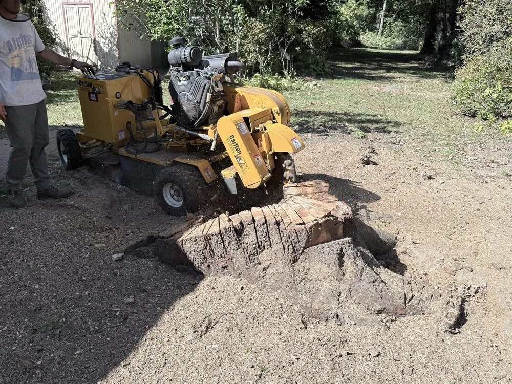 Local yard maintenance for year-round maintenance in Ware, MA by The Ugly Stump