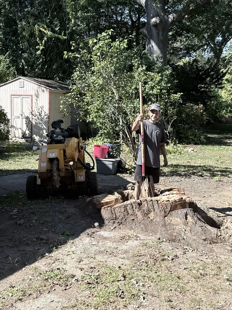 Top-rated lawn care service experts serving Ware, MA - The Ugly Stump